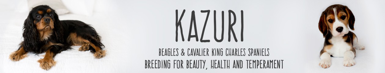 Kazuri